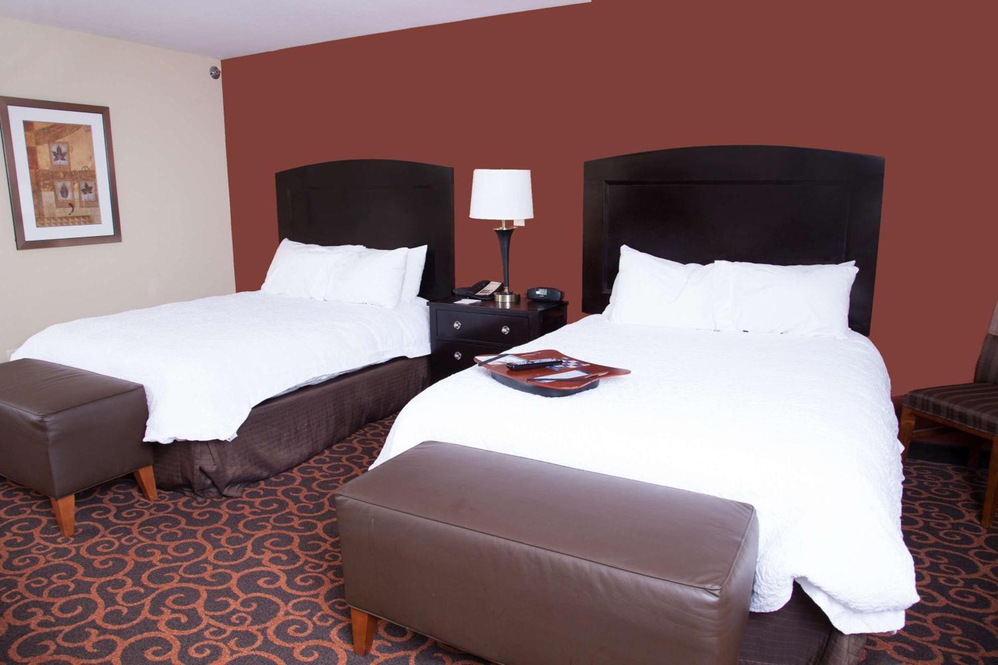 Hampton Inn & Suites Dickinson Nd Kültér fotó